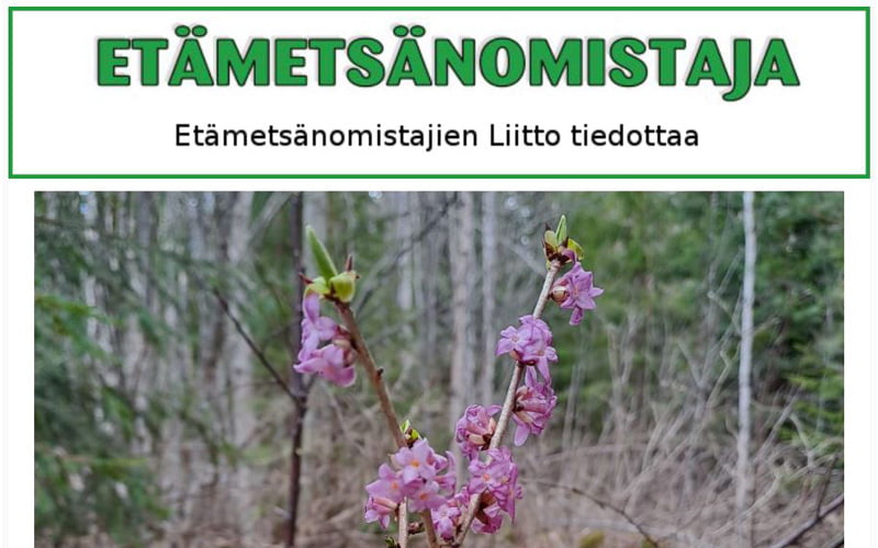Etämetsänomistajien liitto tiedottaa