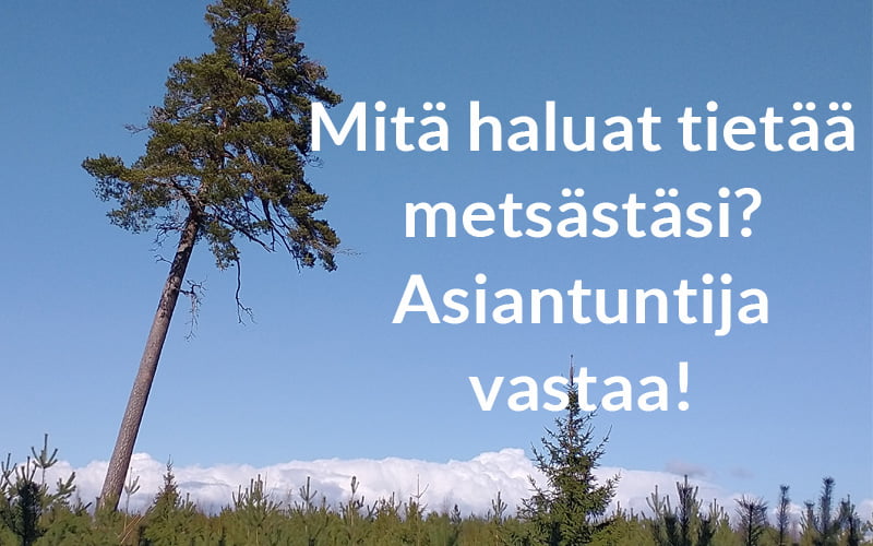Etämetsänomistajien liitto ry